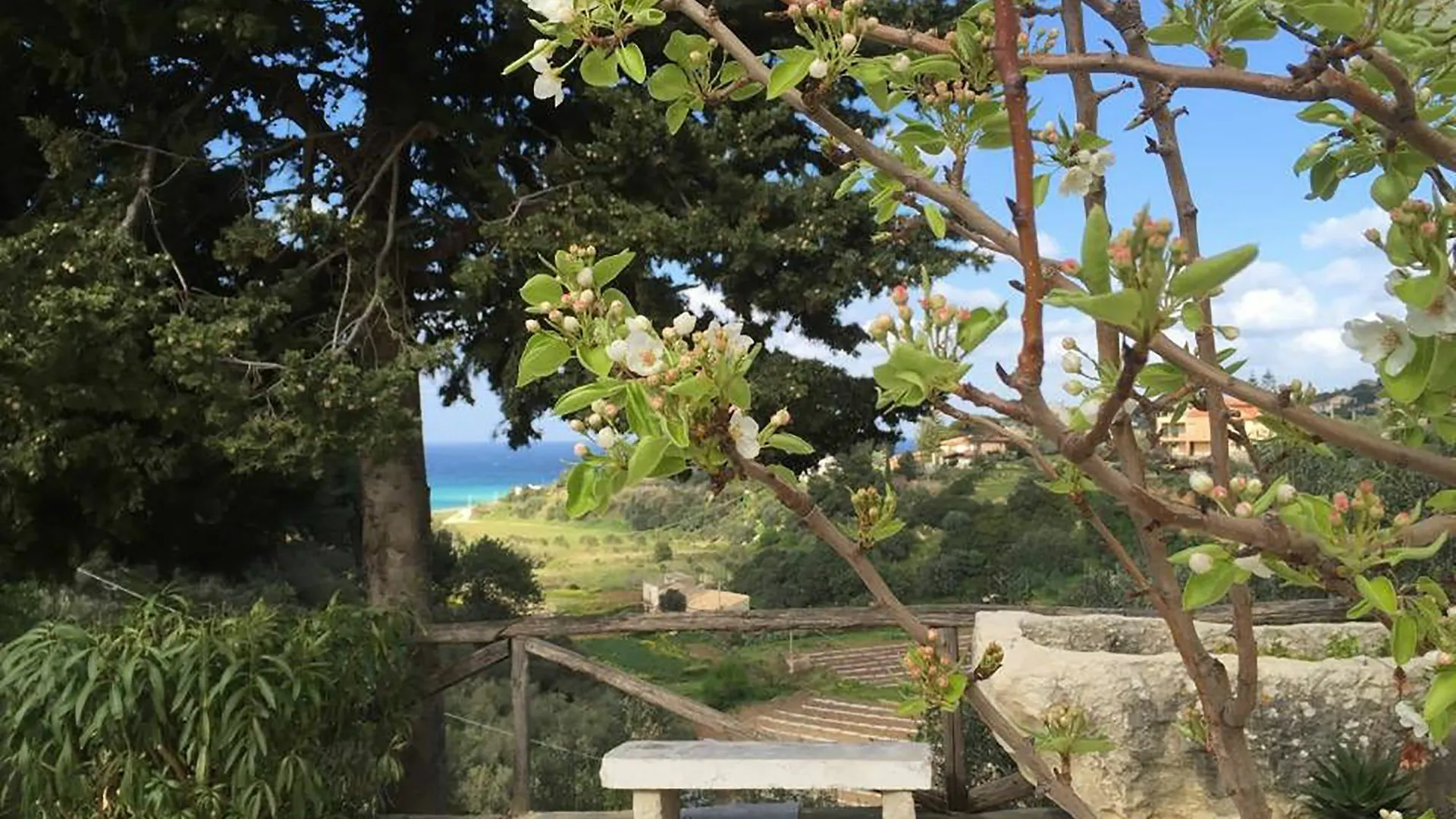קאסטלמארה דל גולפו Casetta Dall'Albero In Scopello דירה