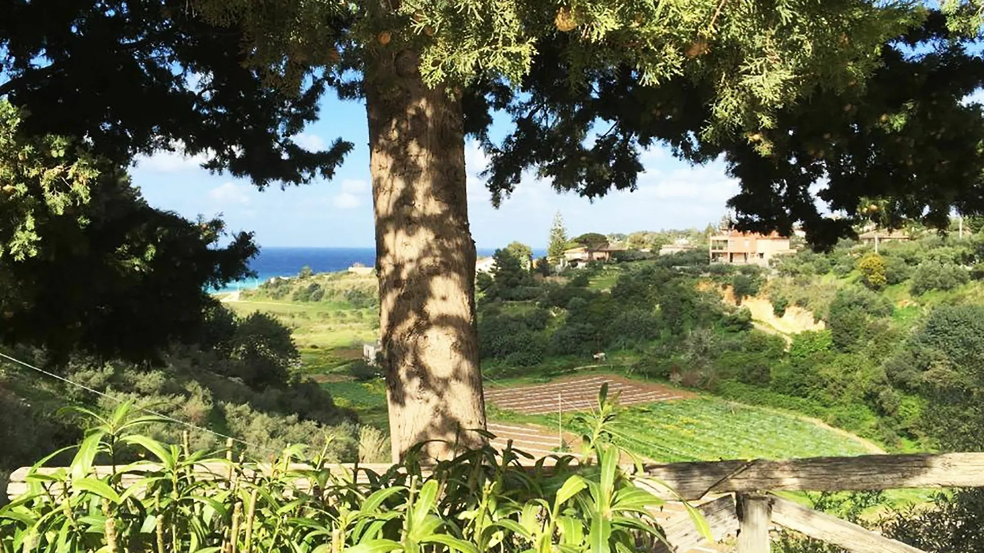 קאסטלמארה דל גולפו Casetta Dall'Albero In Scopello